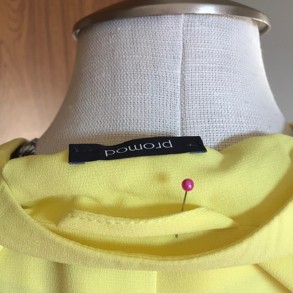 Yellow jacket - Picture 4 of 4